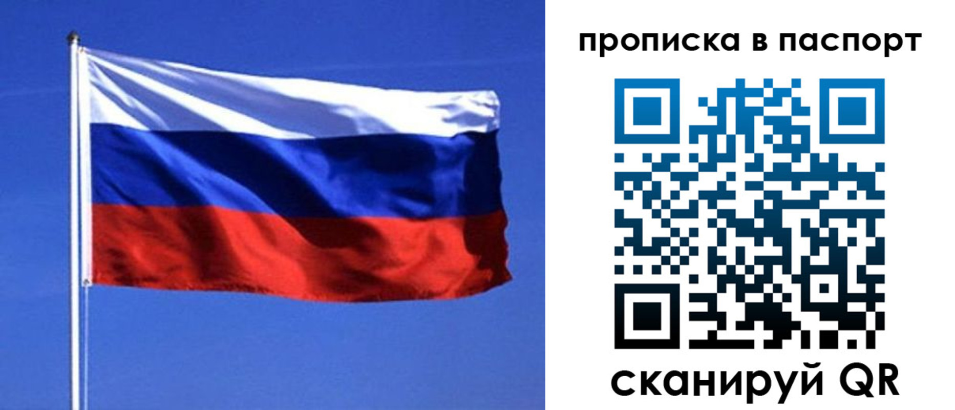 прописка ребенка в Дмитрове